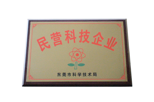 民營科技企業